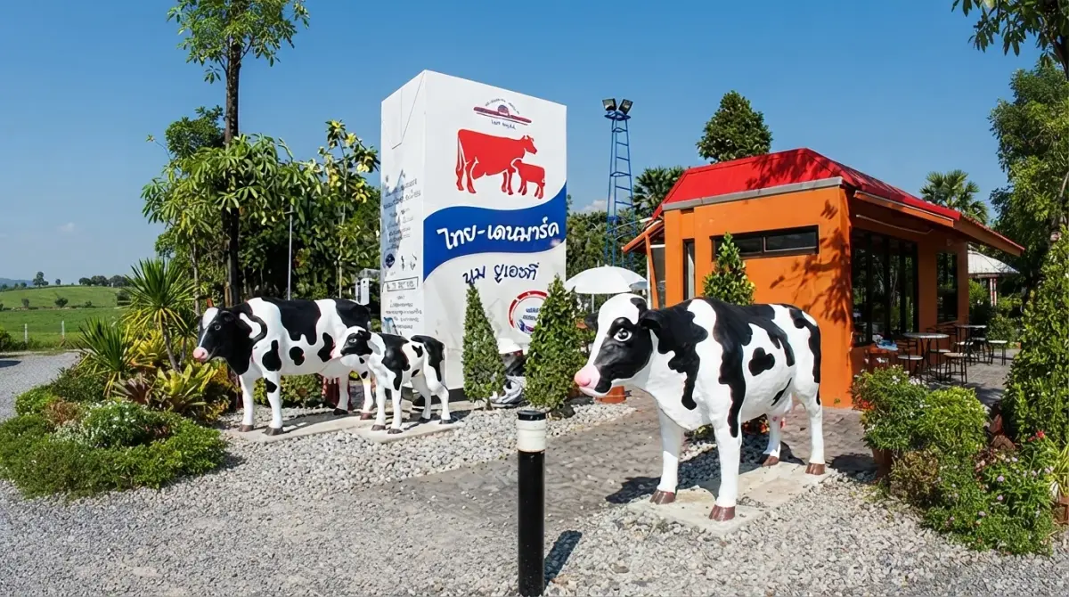 Thai-Denmark Dairy Farm